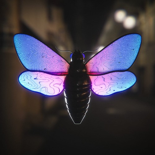 MothwingsB3D.jpg